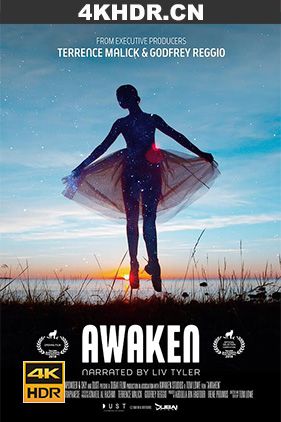 觉醒 Awaken.2018.2160p.BluRay.REMUX.HEVC.DTS-HD.MA.7.1-FGT