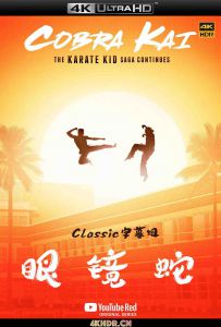 眼镜蛇 第二季 Cobra.Kai.S02.2160p.NF.WEB-DL.x265.10bit.SDR.DDP5.1