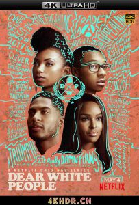 亲爱的白种人 第二季 Dear White People Season 2 (2018)2160p.NF.WEBRip...