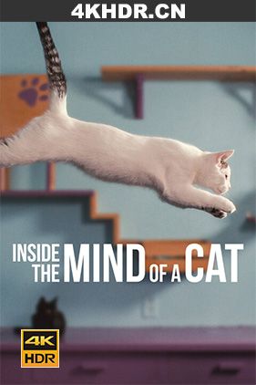 喵星人的奇思妙想 / Inside.the.Mind.of.a.Cat.2022.2160p.NF.WEB-DL.x265.10bit.HDR.DDP5.1-KKKK