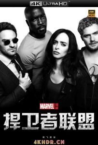 捍卫者联盟 The Defenders (2017)2160p.NF.WEBRip.x265.10bit.HDR.DD5.1-Trol...