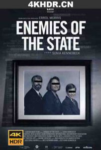 国家之敌 Enemies.of.the.State.2021.2160p.WEB-DL.x265.10bit.SDR.DD5.1-NOGRP