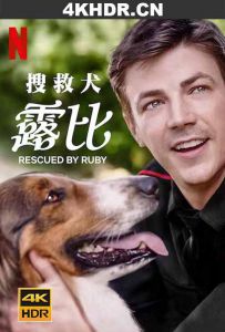 义犬救主 Rescued.by.Ruby.2022.2160p.NF.WEB-DL.x265.10bit.HDR.DDP5.1.Atmos...