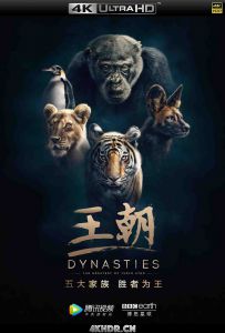 王朝 第一季 Dynasties.2018.S01.2160p.BluRay.HEVC.DTS-HD.MA.5.1-HDBEE