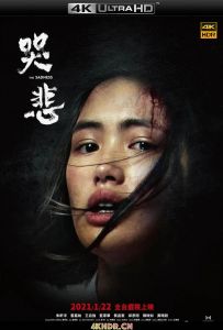 哭悲 The.Sadness.2021.CHINESE.2160p.BluRay.HEVC.DTS-HD.MA.5.1-HYPNOKROETE