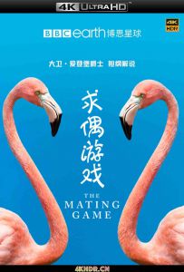 求偶游戏 The Mating Game (2021) 2160p.iP.WEB-DL.x265.10bit.HDR.HLG.AAC2.0...