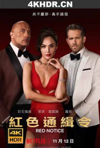 红色通缉令 Red Notice (2021) / 红色大贱谍 / Red.Notice.2021.2160p.NF.WEB-DL.x265.10bit.SDR.DDP5.1.Atmos-S...