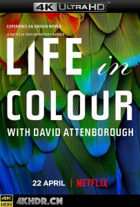 生命之色 Attenboroughs.Life.in.Colour.S01.2160p.WEBRip.x265.10bit.HDR.HLG...