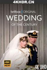 世纪婚礼 The.Wedding.of.the.Century.2021.2160p.AMZN.WEB-DL.x265.10bit.HDR...
