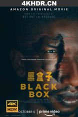 黑盒子 Black.Box.2021.2160p.UHD.BluRay.x265-SURCODE