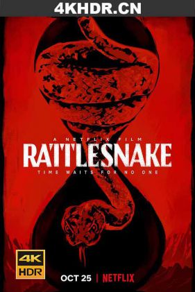 响尾蛇 Rattlesnake.2019.RERiP.HDR.2160p.WEBRip.x265-iNTENSO