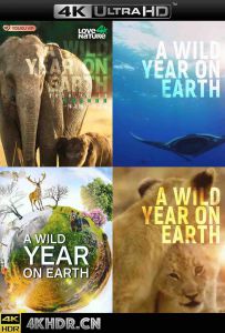 狂野地球 A.Wild.Year.on.Earth.2020.WEB-DL.4k.H265.AAC.2Audio-HDSWEB