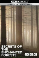 魔法森林的秘密 Secrets of the Enchanted Forests Season 1 (2023) / 4K纪录片下载 / Secrets.of.the.Enchanted.Forests.S01.2023.2160p.UHDTV.H265.AAC[中字]